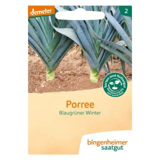 Lauch/Porree