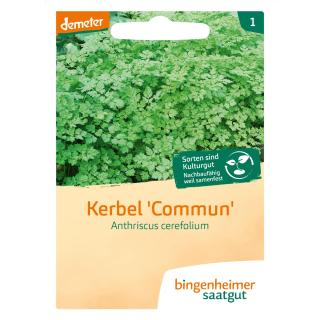 Kerbel